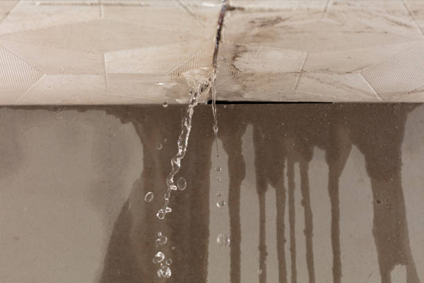 Professional Water Damage Repair technician working in Leming, TX